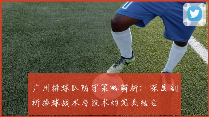 广州排球队防守策略解析：深度剖析排球战术与技术的完美结合